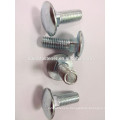 DIN603 mushroom head carriage bolt, DIN603 good quality